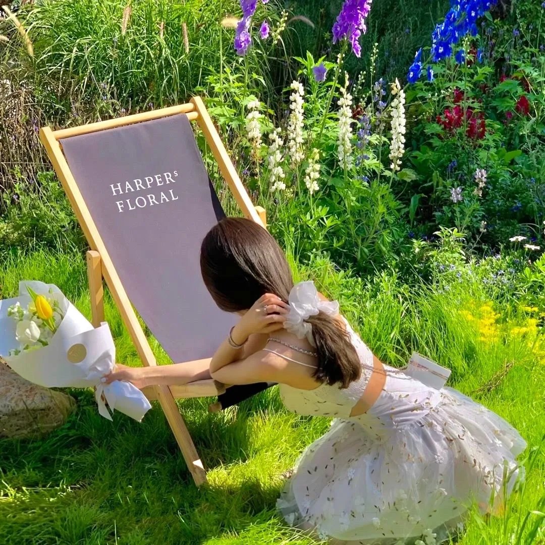 我的同学是美人鱼